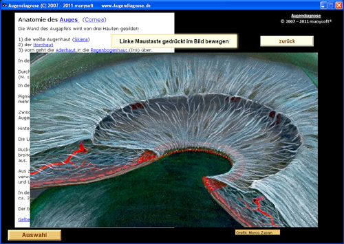 Screenshot 1: Anatomie des Auges (Cornea)